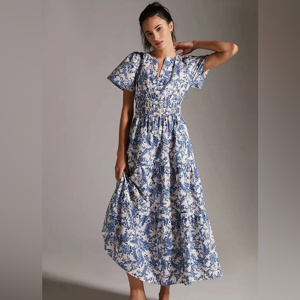 Anthropologie Blue And White Floral Maxi Dress